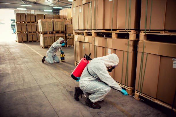 Best Pest Prevention Services  in Stewart Manor, NY