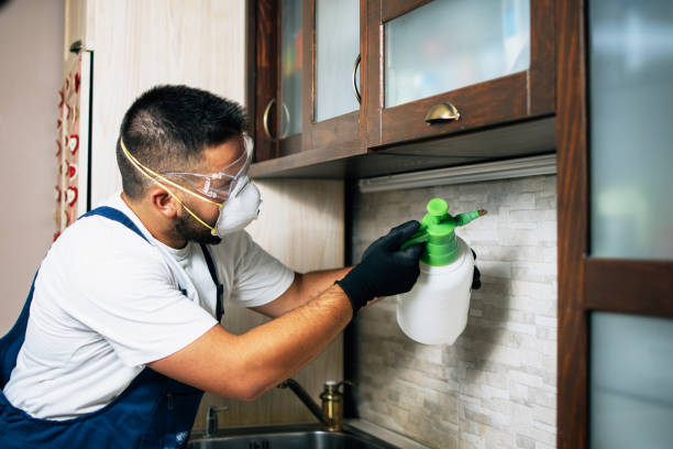 Best Cockroach Control Services  in Stewart Manor, NY