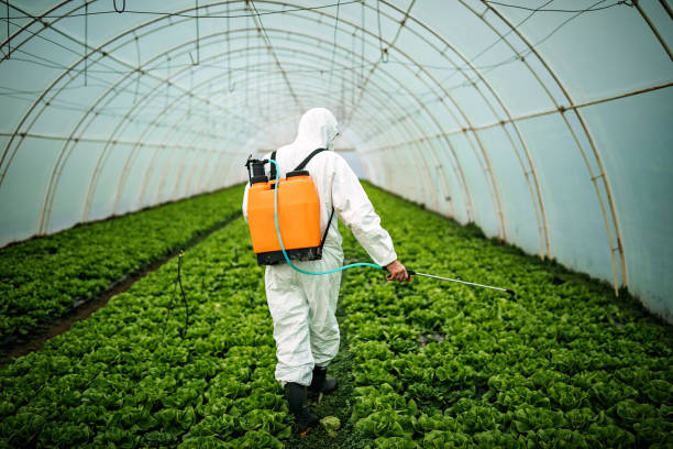 Best Commercial Pest Control Services  in Stewart Manor, NY