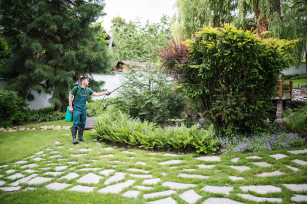 Best Pest Control Treatment  in Stewart Manor, NY