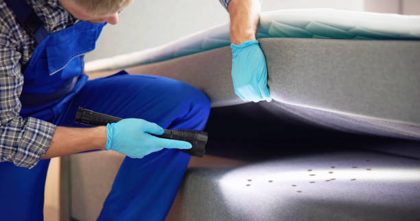 Best Wasp Removal Services  in Stewart Manor, NY